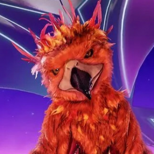 Zzzzz 17143372552bb60d42 Cfab 4ec7 Ad2e F23b4cff417d — masked singer faces option 346