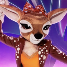 Zzzzz 17143372554b10aa20 1604 4ae2 B2a1 Ba5f63fe4027 — masked singer faces option 348