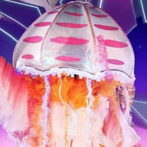 Zzzzz 1714337255a1d295d7 0115 4247 B35f A046a115fa0f — masked singer faces option 342