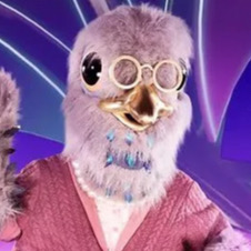 Zzzzz 1714337255e84975a0 5e66 4b08 Becc 534e18c0f0d1 — masked singer faces option 350