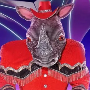 Zzzzz 1714337256d0ee33dc 9a54 490e B705 8d351cf1785d — masked singer faces option 352