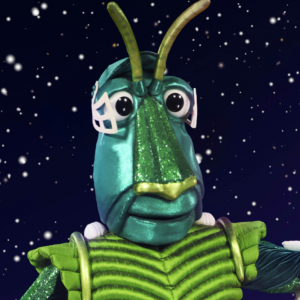Zzzzz 171433821479c54866 6b2c 4049 B88b E1e253467cf5 — masked singer faces option 354