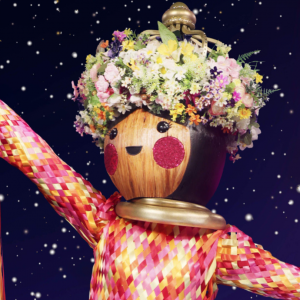 Zzzzz 1714338214fa5d829f Ff09 4113 B428 E3bf781f4879 — masked singer faces option 353