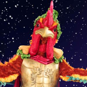 Zzzzz 171433821569a1455b 9d90 4a3e 9386 2573acb21b8a — masked singer faces option 363