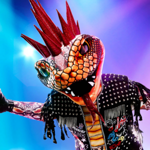 Zzzzz 17143388033819d9a6 0f55 4829 9f4b 6adc74841f60 — masked singer faces option 395