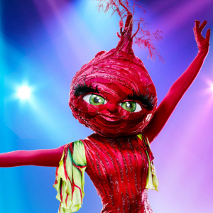 Zzzzz 1714338803b2c91101 16f2 49e1 A3cd C333493c8483 — masked singer faces option 393