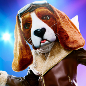 Zzzzz 171433880451b4c649 Cc80 45f6 A2ad 8f4994327466 — masked singer faces option 402