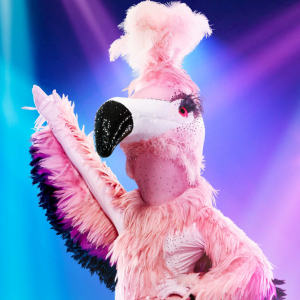 Zzzzz 1714338804c4742f50 7169 496a 9cc9 B4c2d73f1b78 — masked singer faces option 399