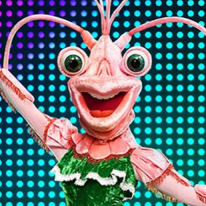 Zzzzz 17143393868620de2d E8b5 41d4 9f20 F5537d80fb0a — masked singer faces option 407