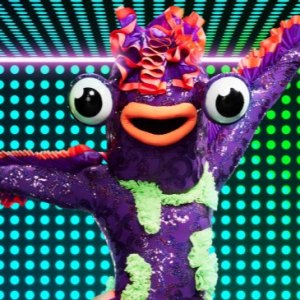 Zzzzz 17143393868d181dc8 4a54 4329 Baeb Fedb506c3ad0 — masked singer faces option 412