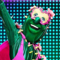 Zzzzz 1714339386cc440852 Fd2b 4bae 91a6 E416a49aa4f9 — masked singer faces option 413