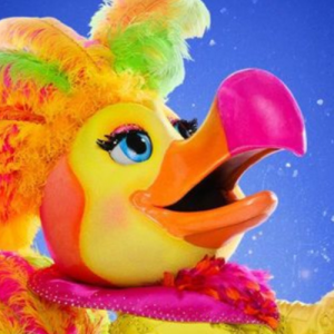 Zzzzz 1726090972f3197c9c 43da 40cb B6ec B60099804a26 — masked singer faces option 188