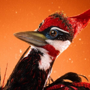 Zzzzz 172616939423f2fb5d 0537 4143 853a Cac2bcf0a9d1 — masked singer faces option 186