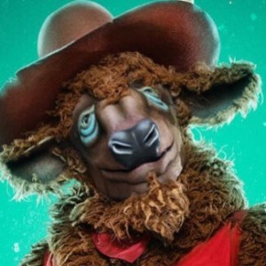 Zzzzz 1726169394410e0ca7 8a04 48af Ab69 96d25e55c29d — masked singer faces option 185