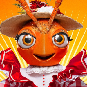 Zzzzz 17400684013fabfc52 D72d 407c B478 A40db253ebdc — masked singer faces option 201