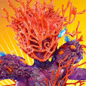 Zzzzz 17400684016f82562f E28d 43d2 85fe 59801c24d8a7 — masked singer faces option 204