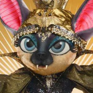 Zzzzz 17400684029833c15c 2776 4aa3 916a 4d33b87b19fd — masked singer faces option 208