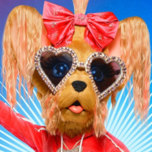 Zzzzz 1740068402a6c2673f 643d 451b 9b42 73d6cfa2b5dc — masked singer faces option 210