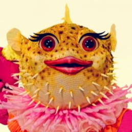 Zzzzz 1740069748e8fe38de 0524 497f 9d32 0fecfdcaf0dd — masked singer faces option 371