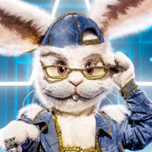 Zzzzz 176202702077dfc036 Fae4 497e Adc8 B561b63d7ba0 — masked singer faces option 435