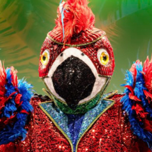 Zzzzz 17620270208bc9844e E40a 4732 8dbd 822a9794935c — masked singer faces option 430