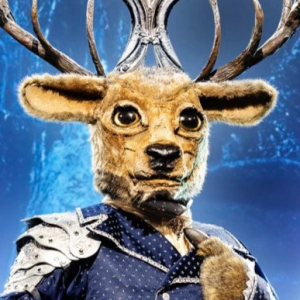 Zzzzz 1762027020cffd228d 8902 4811 Bf40 B6bf74d6f115 — masked singer faces option 432