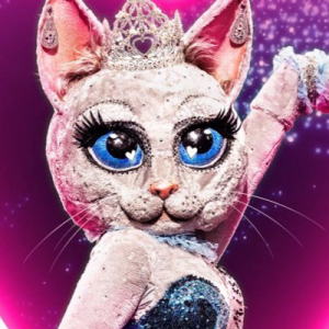 Zzzzz 1762027020d47451f2 43fb 4111 9ecd E344bfa4fa27 — masked singer faces option 425