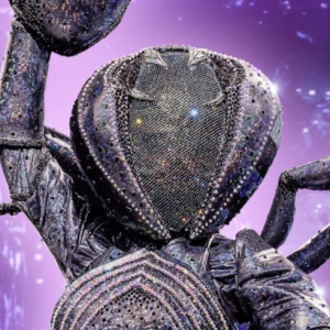 Zzzzz 1762027021526831c7 79d8 4f99 Aef5 3e0a4e5e0448 — masked singer faces option 434