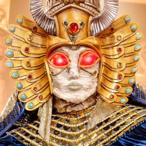 Zzzzz 176202786724c2bbda 2f9b 474a 9a5c Df497ff9ed6d — masked singer faces option 438