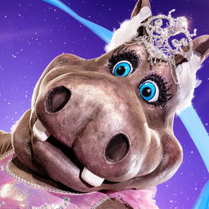 Zzzzz 17620278673efe97f0 3cf5 4b2a A9e6 62e9c3035454 — masked singer faces option 444