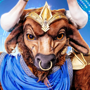 Zzzzz 17620278678a991343 18e9 4962 8a2f Bd86c2a28678 — masked singer faces option 448