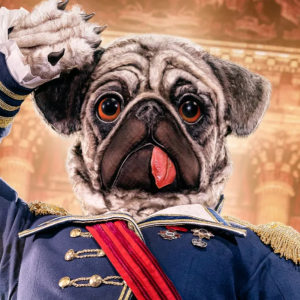 Zzzzz 1762027867d1979c2d 484e 444a Bbc4 C19f257cb304 — masked singer faces option 446