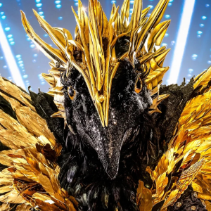 Zzzzz 1762027868c0a9ae4e 6f06 4786 B976 14af9b342de3 — masked singer faces option 443