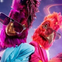 Zzzzz 17620296565f34d248 7bb2 4141 8e17 6b5f4ed0a465 — masked singer faces option 451