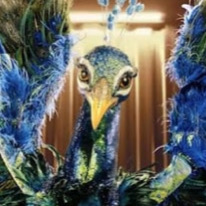 Zzzzz 1762030428752b3b1a 975d 4f10 8fb0 Bfd0411d362c — masked singer faces option 470