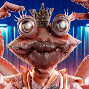 Zzzzz 1762030428b8e71541 4670 4507 9688 271f05745649 — masked singer faces option 467