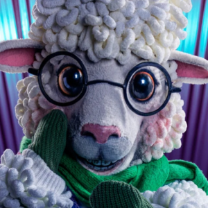 Zzzzz 1762556332b6dfa264 6243 45a1 8465 3232b66d352d — masked singer faces option 474