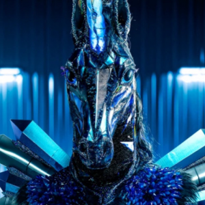 Zzzzz 1762556332da3a1d82 B883 43aa 8280 13bea07445d7 — masked singer faces option 478