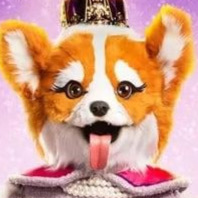 Zzzzz 17655796281c52ada0 B0e7 4121 9657 6eece4a83f43 — masked singer faces option 219