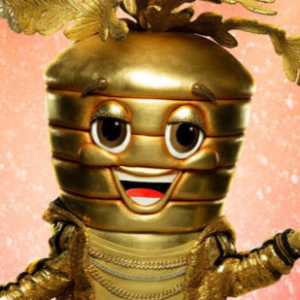 Zzzzz 176602706228034bef Ad0b 4be4 9f75 F1b47cffb8b9 — masked singer faces option 232