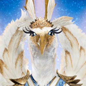 Zzzzz 17665462408d5ee34a 9935 45f6 Aa18 D5e809ad89f9 — masked singer faces option 231