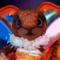 Zzzzz 1767210310096c2b81 55c6 408f 9247 Cbd5882b2c8e — masked singer faces option 378
