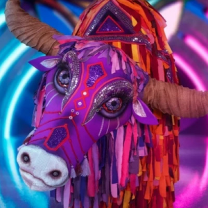 Zzzzz 17672103101c48e67e Bf9b 4347 90c5 Fb24c0d63fd7 — masked singer faces option 384