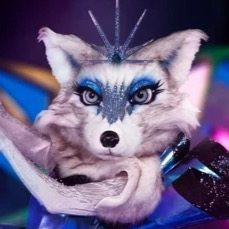 Zzzzz 176721031034c5826f Ae66 416d 80c6 421f6cc7d724 — masked singer faces option 383