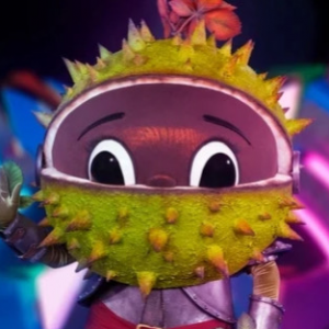 Zzzzz 1767210310d5bdf753 Ecb7 4a2e 849e Bc64b8d034c5 — masked singer faces option 387