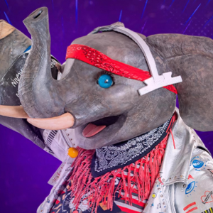 Zzzzz 1772507938132746a0 537e 4a0f Aab4 F14bc796adea — masked singer faces option 497