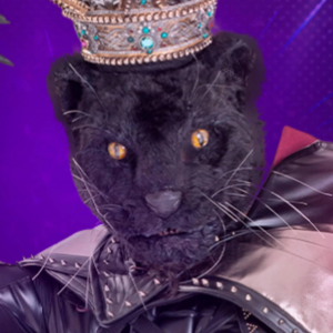 Zzzzz 177250793844bc5b67 6b6a 4b63 A6d3 Cda5d1f1f752 — masked singer faces option 500