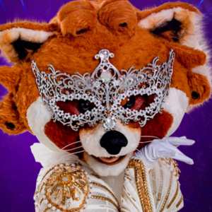 Zzzzz 1772507940058f8498 3b45 42e8 A3a7 79fcea451cbd — masked singer faces option 506