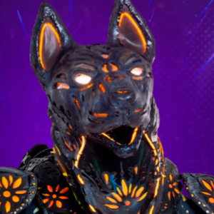 Zzzzz 1772507940912a0ef8 687f 4223 97ca 8b7c9dd88aa9 — masked singer faces option 503