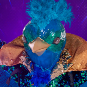 Zzzzz 177250794168c8315c E1b9 4736 9dbd 3c8bd448e00f — masked singer faces option 508